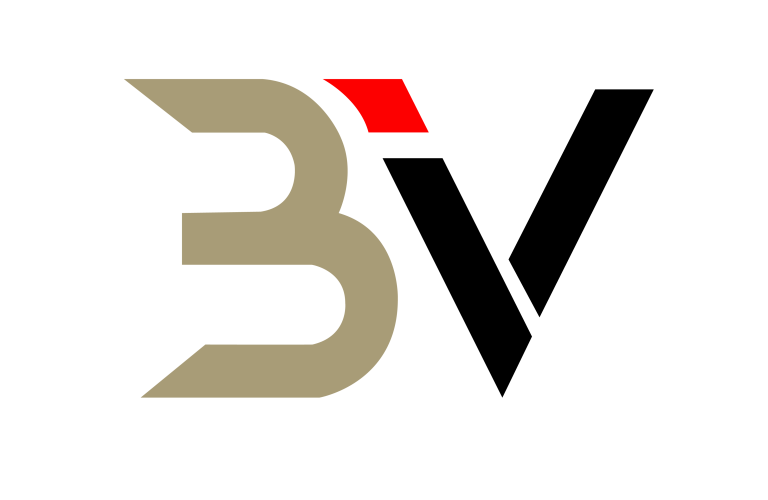 Biznese VIP LOGO 1-01